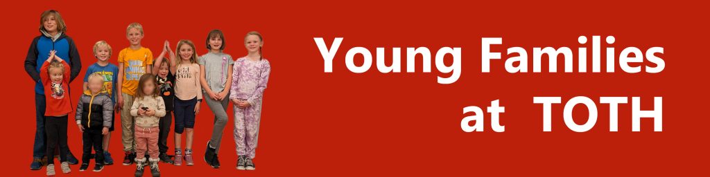 A red background with the words young adult written in white.